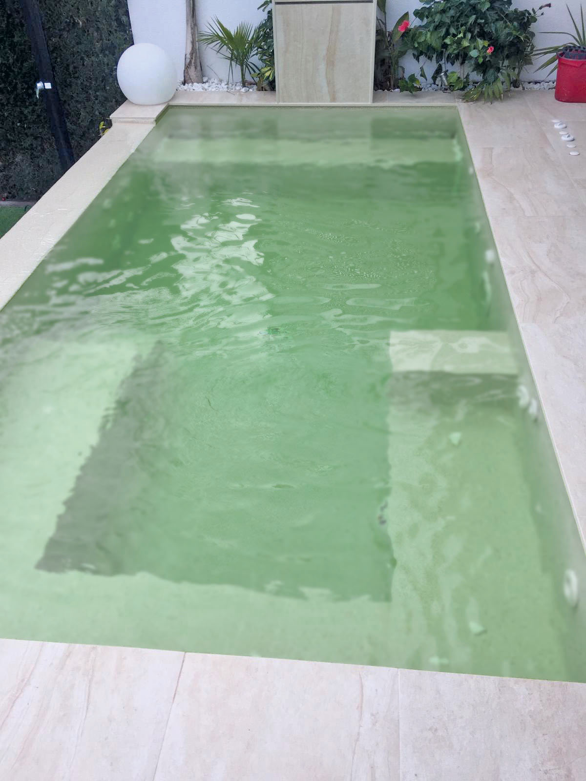 Bazén se zakalenou zelenou vodou