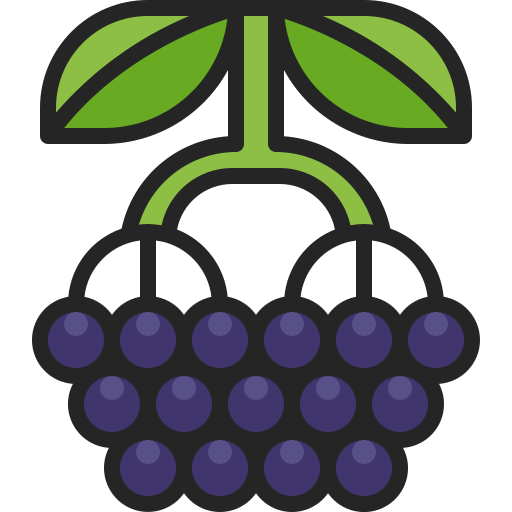 berries