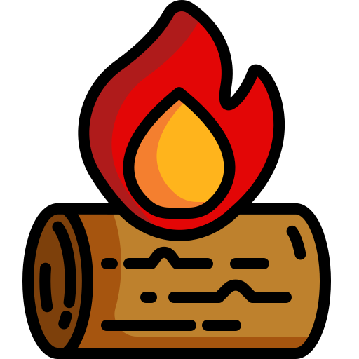 bonfire