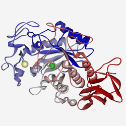 Pancreatic alpha amylase