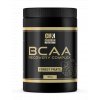 BCAA 500g forest fruits