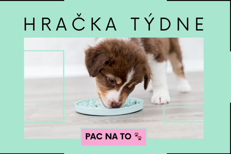 Hračka týdne v akci