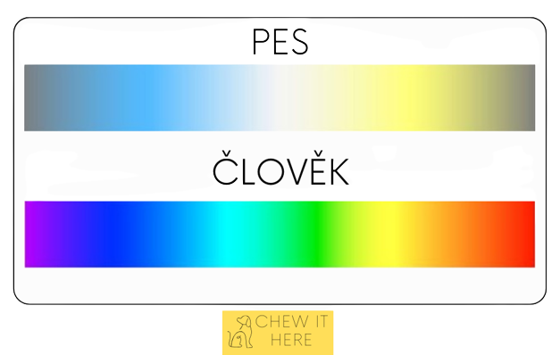 Barevné_spektrum-removebg-preview