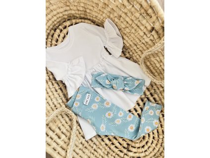 Set Blue daisy