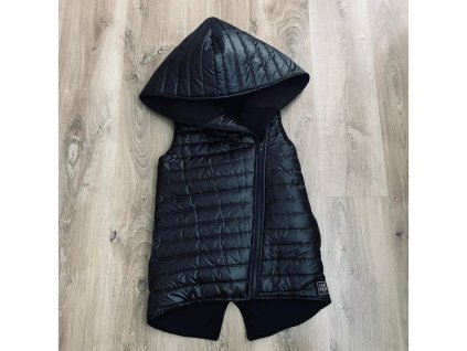 Vesta Basic
