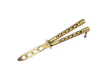 44cd5fc25fff385c498c2e3f1ae77f1