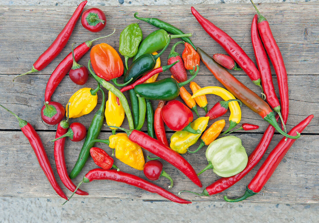 🌶️ Rozdíly mezi Cayenne, Jalapeño a Habanero