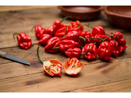 trinidad scorpion red westlandpeppers 2 scaled