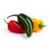 jalapeno fresh 2