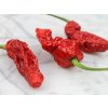 Bhut Jolokia HPP web