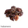 habanero susene