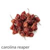 carolina reaper susene cele