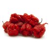 carolina reaper nasa foto