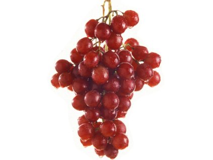 flame seedles flame seedles