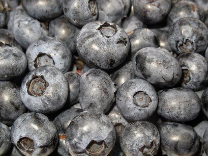 blueberry 2529799 1920