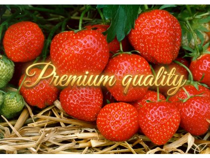 1769278076 6f5328d2 6d00 48af adf7 4ffe950f11fe