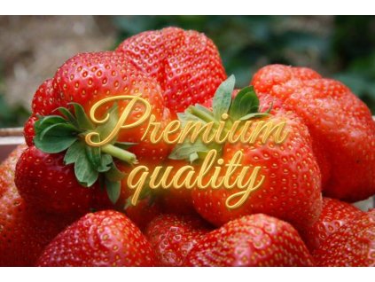 1769277543 159280b2 5535 461e b8d0 98b6c4f37d16