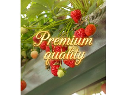 1769279649 b02a9c82 0cc3 4fd9 93c5 30fe08482b3b