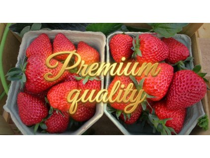 1769277381 c2950048 45c1 45fb b32f 033e9293ea7a