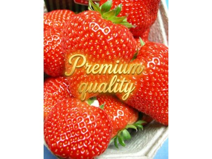 1769277952 acc4f67d 9f85 4669 bbb3 9ab3a533b906