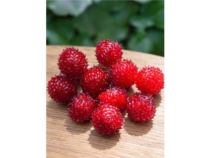 maliník Raspberry Tower®