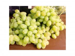 SZŐLŐ - Pervozvanyj