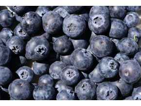 blueberries 4333033 1920