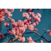 viburnum 4015821 1920