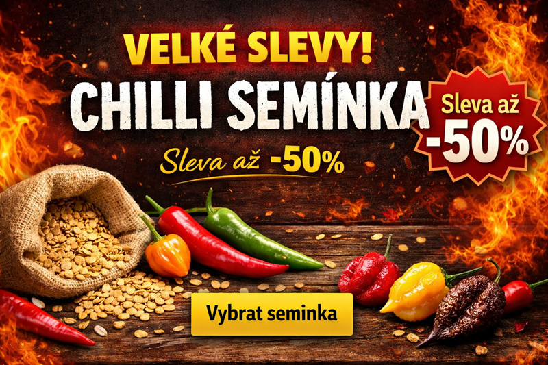 Výprodej chilli semínek