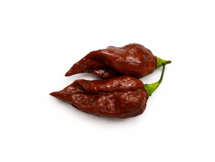 BHUTCHOCO2