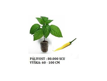 cayenne gold 1