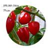 habanero red