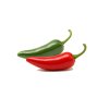 Jalapeno Chilli semínka