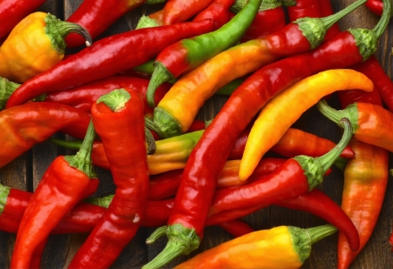 Druhy chilli papriček Capsicum