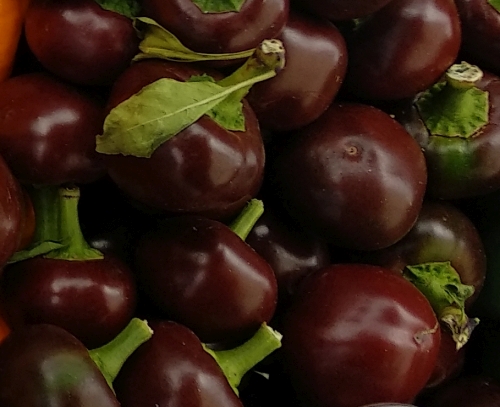 Large Cherry Chocolate