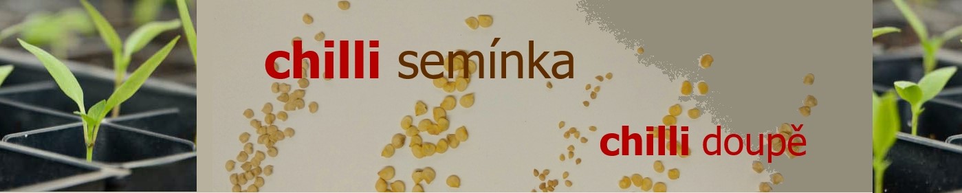 seminka chilli papricek