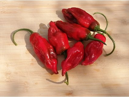 aji rojo