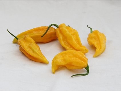 fatalii yellow