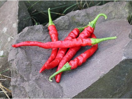 cayenne red
