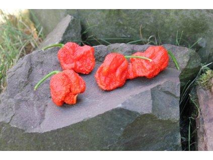 carolina reaper red