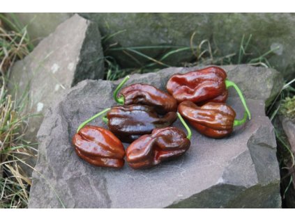 habanero chocolate