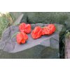 carolina reaper red