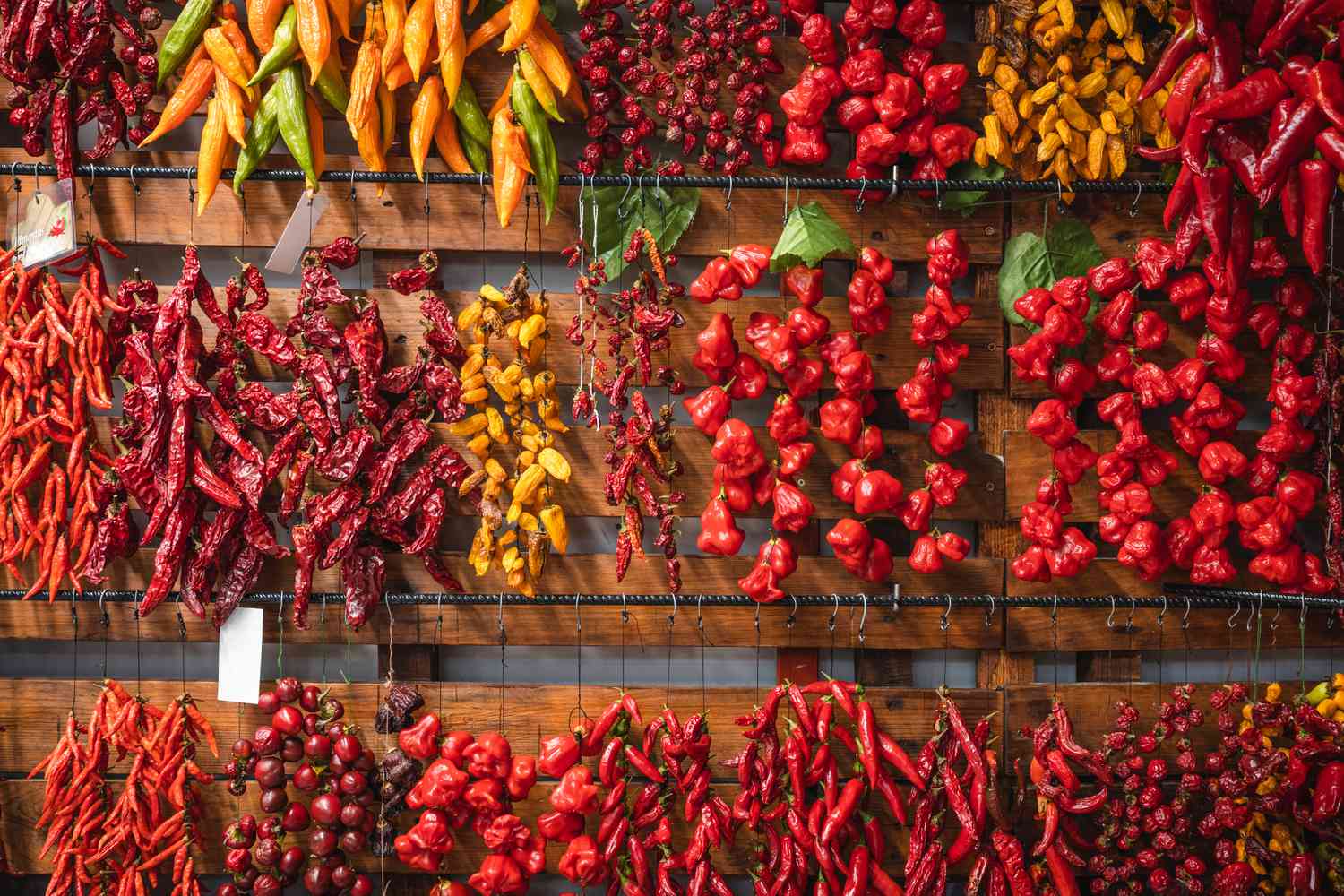 🌶️ Ako skladovať chilli papričky, aby vydržali dlhšie