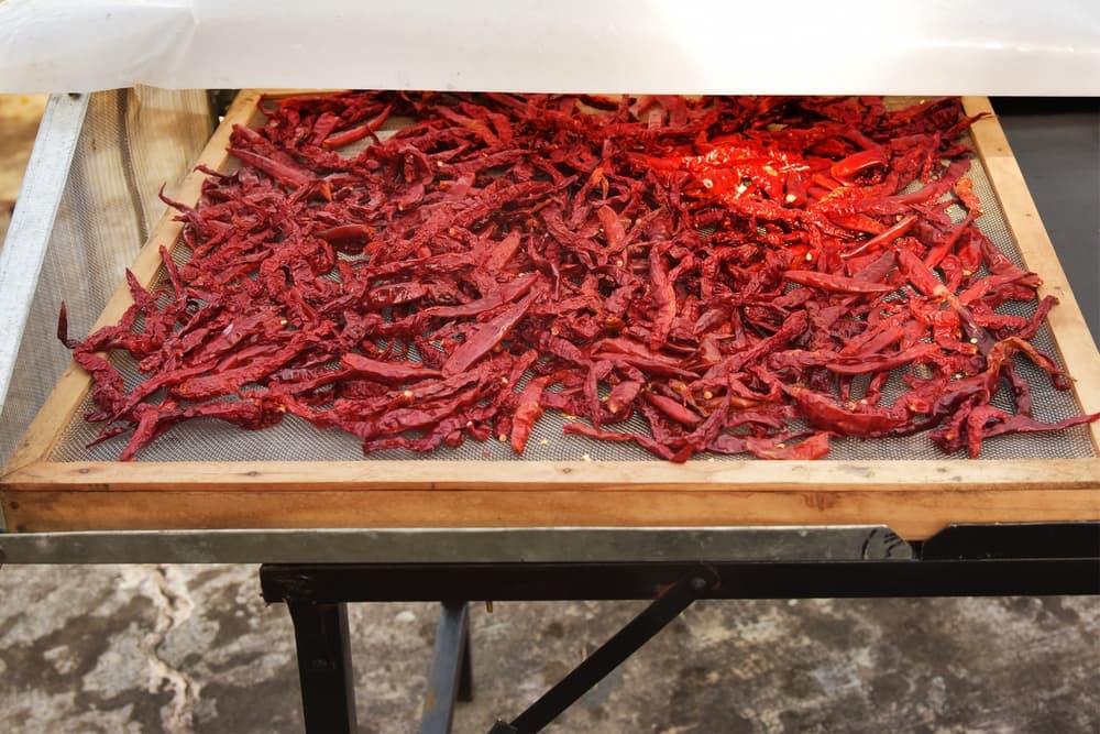 🌶️ Domáce sušenie chilli papričiek: Tipy a triky