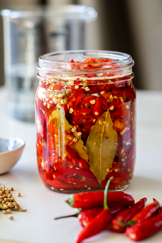 🌶️ Domáce nakladanie chilli papričiek: Recepty a rady