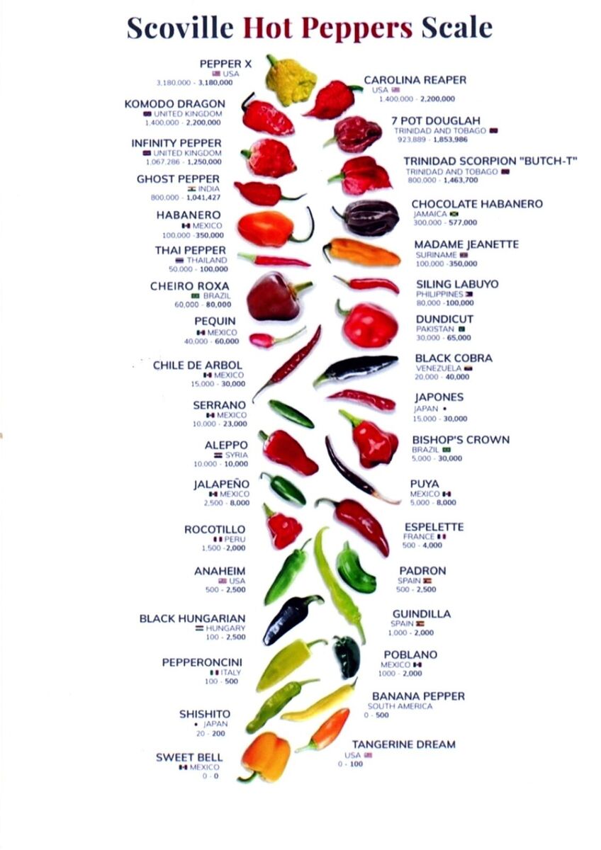 🌶️ Pálivosť chilli: Porovnanie podľa Scovilleho stupnice