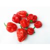 scotch bonnet