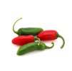 Jalapeno Early 1