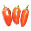 9156 Jalapeno TAM 600x600