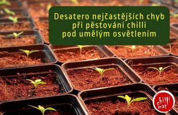 Desatero nejčastějších chyb při pěstování sazenic pod osvětlením